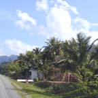 country roadside in Honduras